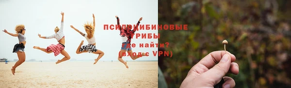 ешки Алексин