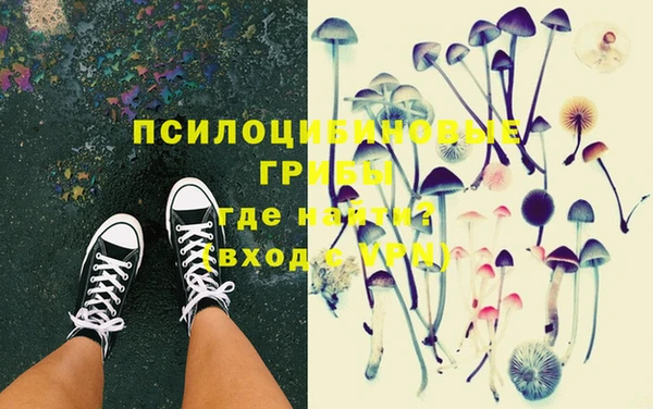 ешки Алексин