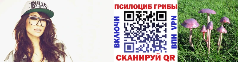 наркота OMG Галлюциногенные грибы GOLDEN TEACHER Мегион